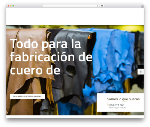WordPress theme (VamTam) Konstruktion - anastrading.net