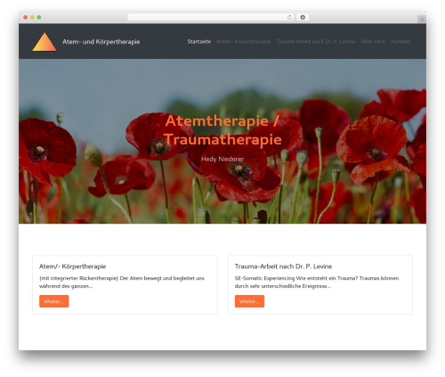 WP Bootstrap 4 Pro theme WordPress - niederer-therapie.ch WP Bootstrap 4 Pro theme WordPress - niederer-therapie.ch