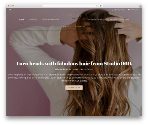 Beacon Theme WordPress page theme - hairstudio960.com