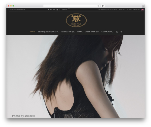 Blaszok top WordPress theme - dollshecraft.com