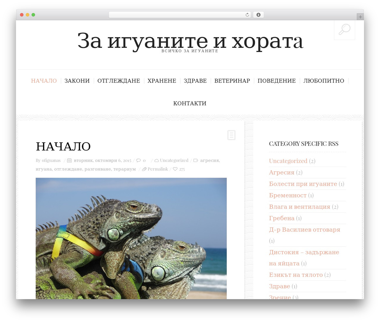 BuzzBlog top WordPress theme - iguanite.com BuzzBlog top WordPress theme - iguanite.com