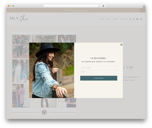 Theme WordPress Smash Theme - akachic.net
