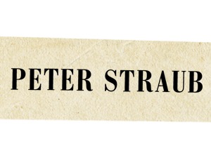 WordPress theme Peter Straub theme by Vanja Jelic