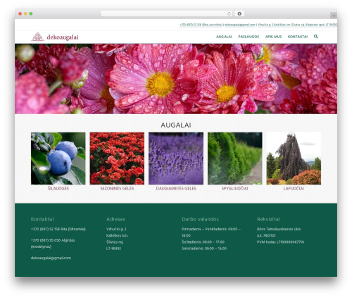X WordPress website theme - dekoaugalai.lt