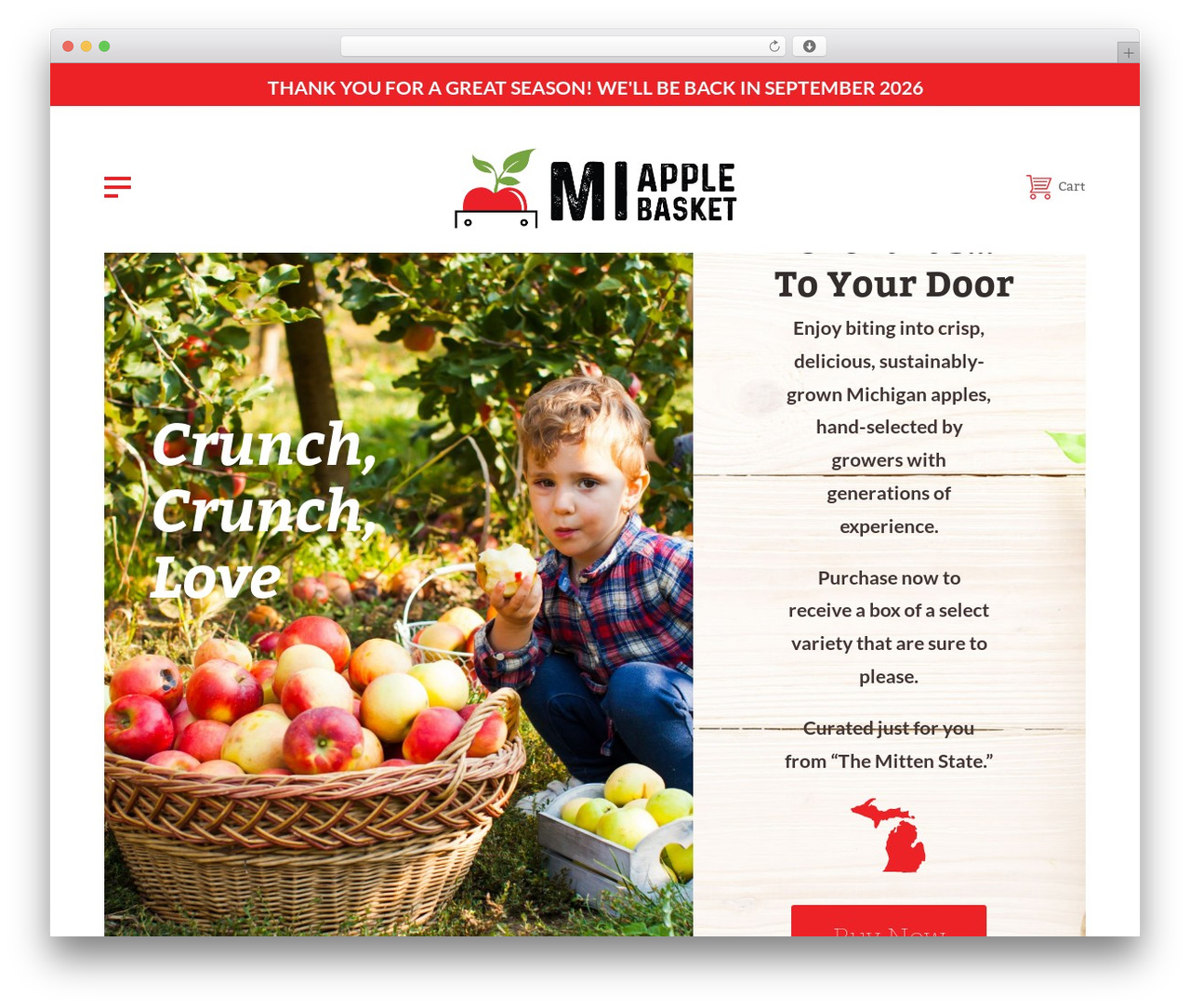 Divi theme WordPress - miapplebasket.com Divi theme WordPress - miapplebasket.com