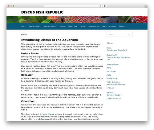 Freenity WordPress theme - discusfr.com