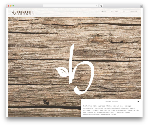 Lychee theme WordPress - deborahbuselli.com