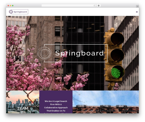 stash WordPress theme - springboardsg.com