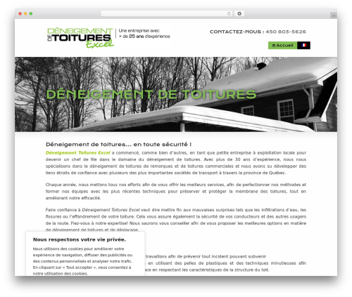 Striking MultiFlex & Ecommerce Responsive WordPress Theme WordPress store theme - deneigementdetoituresexcel.com