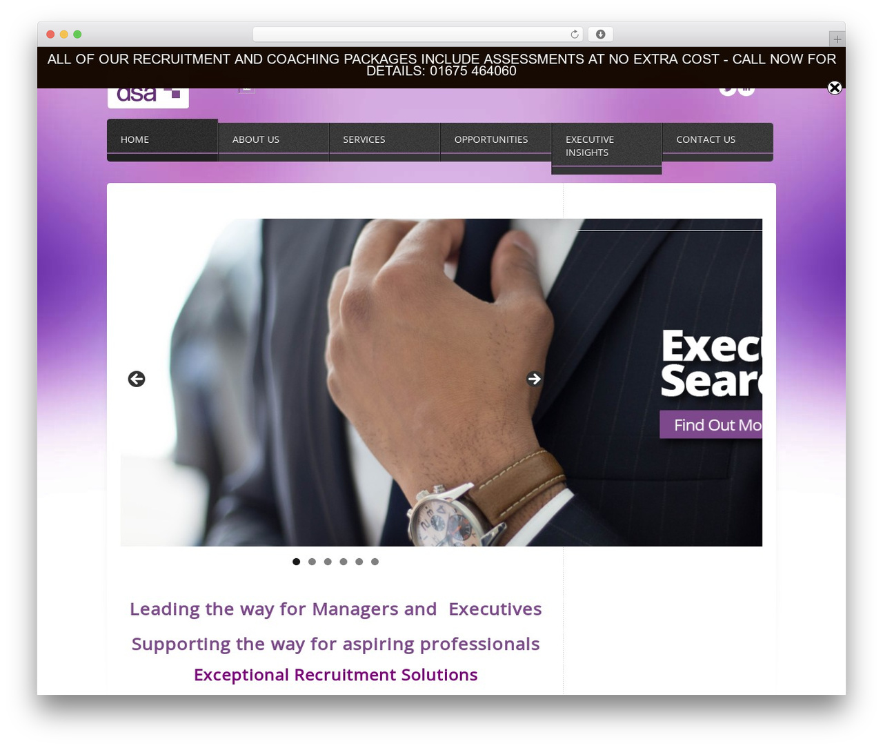 Willbridge theme WordPress - dsaexecutive.com