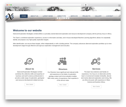 Wp post modules WordPress plugin - diamondexplorationstrategies.com