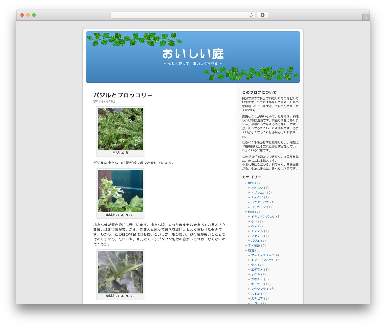 WordPress website theme WordPress Default test - deliciousgarden.info WordPress website theme WordPress Default test - deliciousgarden.info