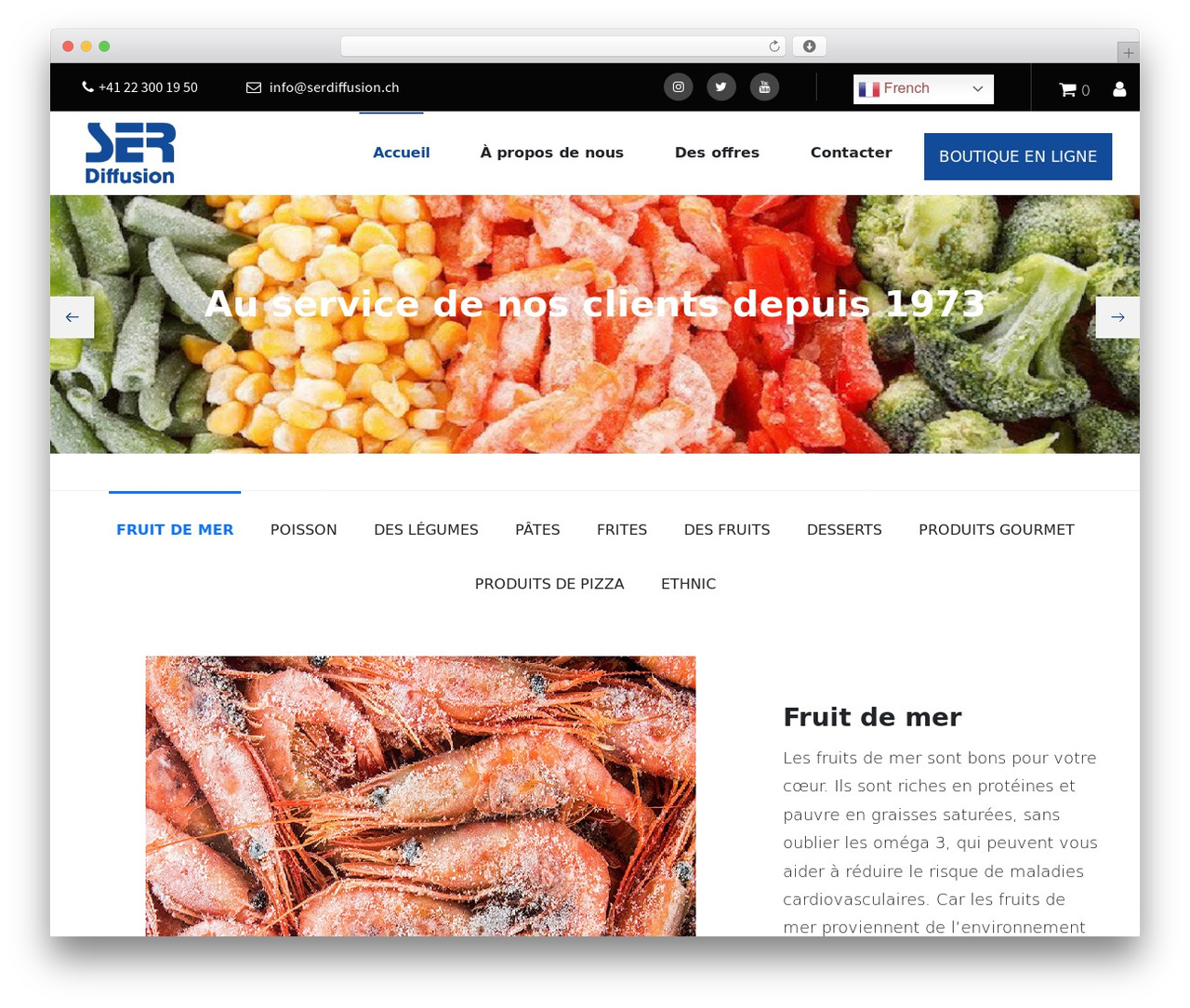 WP theme Ser Diffusion - serdiffusion.ch
