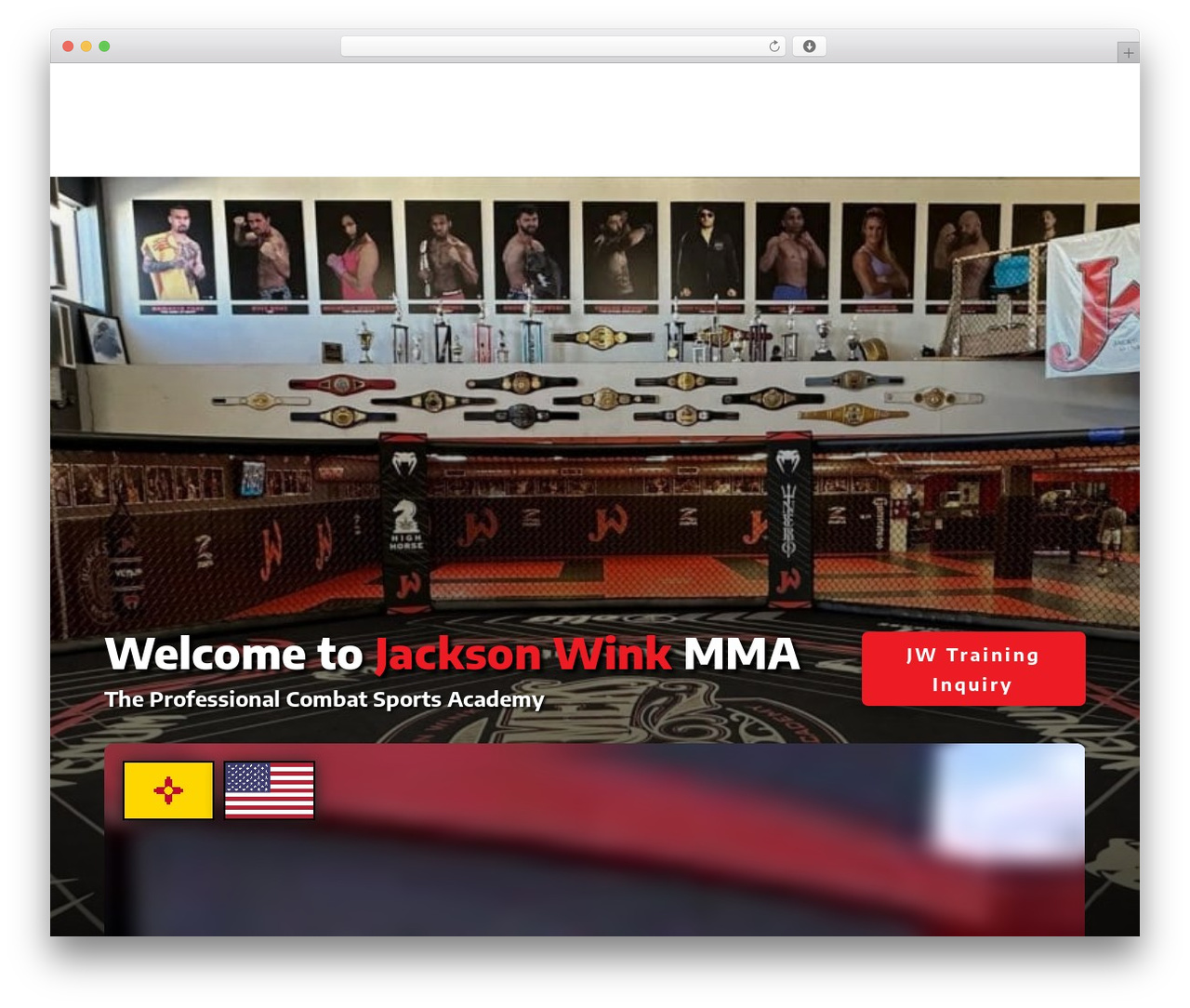 Best WordPress theme Divi - jacksonwink.com