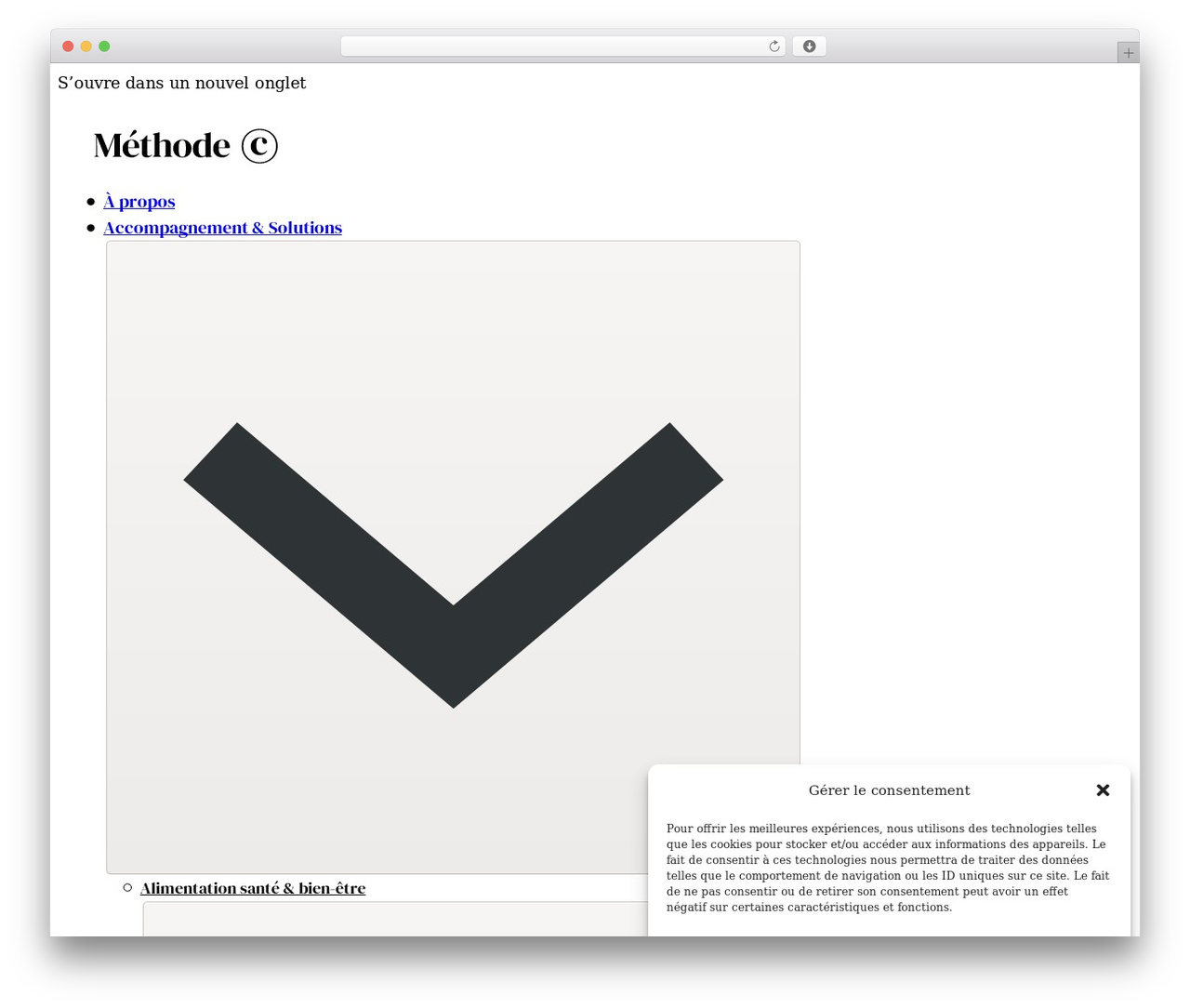Bricks WordPress theme - methode-c.ch Bricks WordPress theme - methode-c.ch