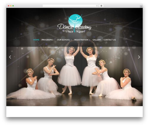 Cherry Framework WordPress theme - dapr.ca
