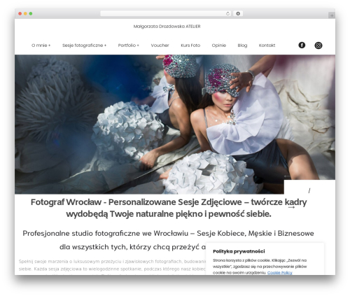 Gt3 moone core WordPress plugin - digital-motion.pl