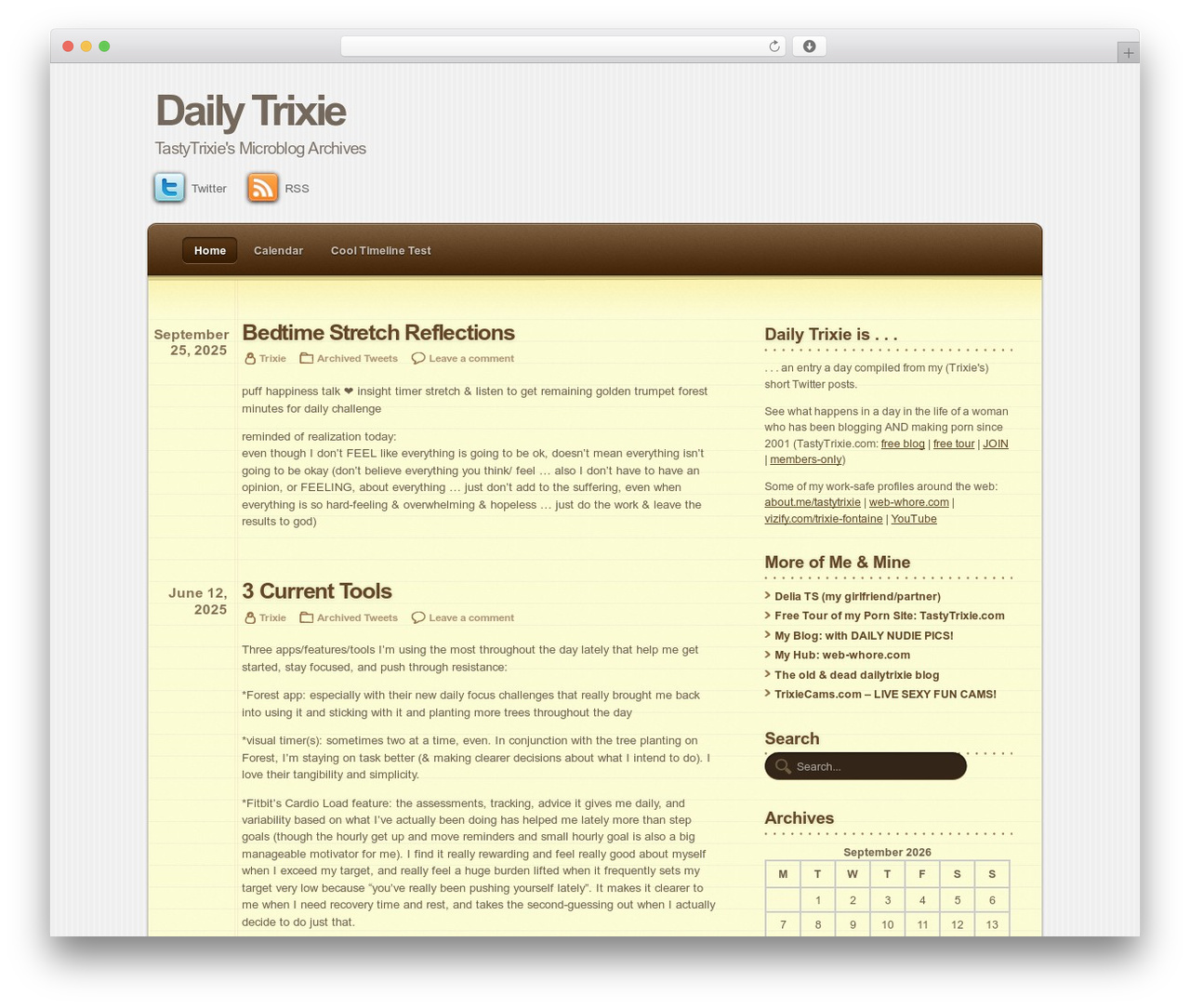 Notepad WordPress theme - dailytrixie.com