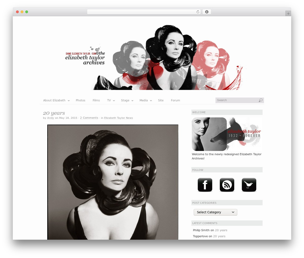 Platform WordPress theme design - dameelizabethtaylor.com