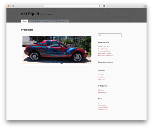 simpleX WordPress website theme - delsquid.com