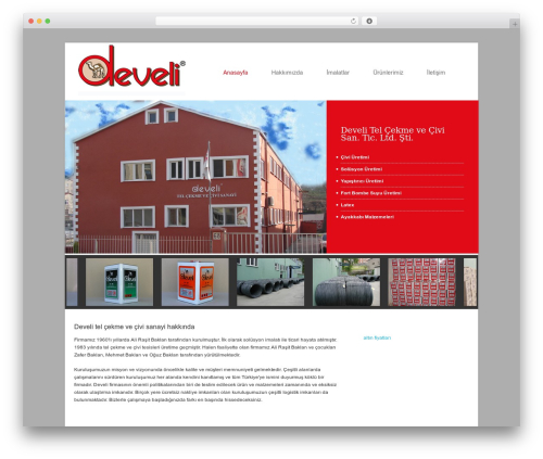 WordPress Theme 1372 WordPress website theme - develicivi.com