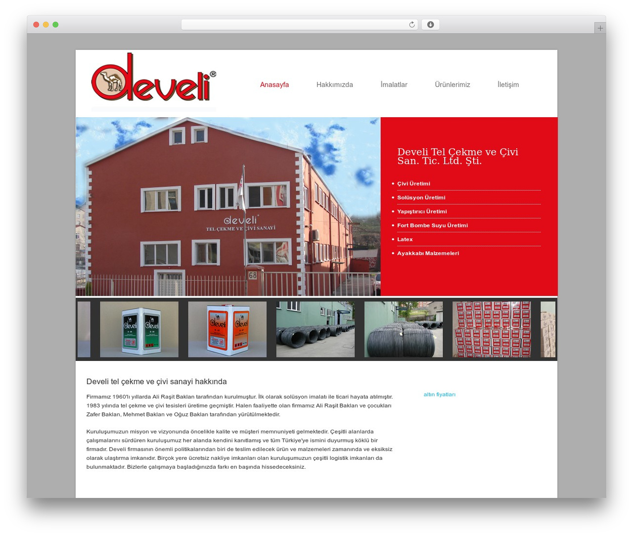 WordPress Theme 1372 WordPress website theme - develicivi.com