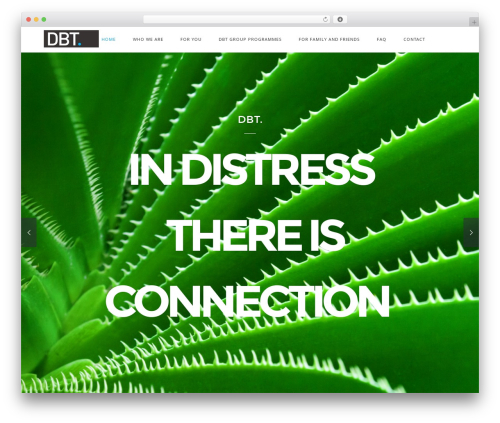 Best WordPress theme Eight Degree - dbtsydney.com.au