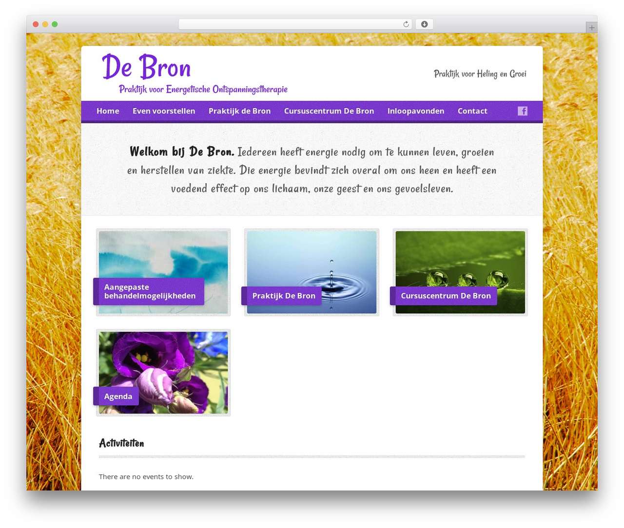Theme WordPress Risen - debronenergie.nl Theme WordPress Risen - debronenergie.nl