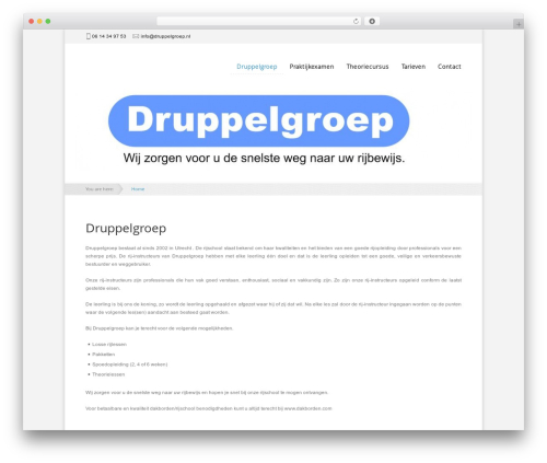 Theme WordPress DrivingSchool - druppelgroep.nl