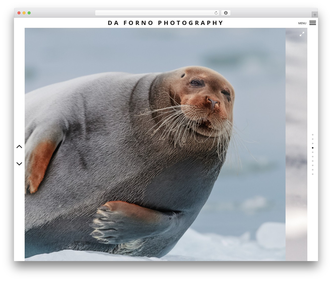 WordPress theme Border - dafornophotography.com WordPress theme Border - dafornophotography.com