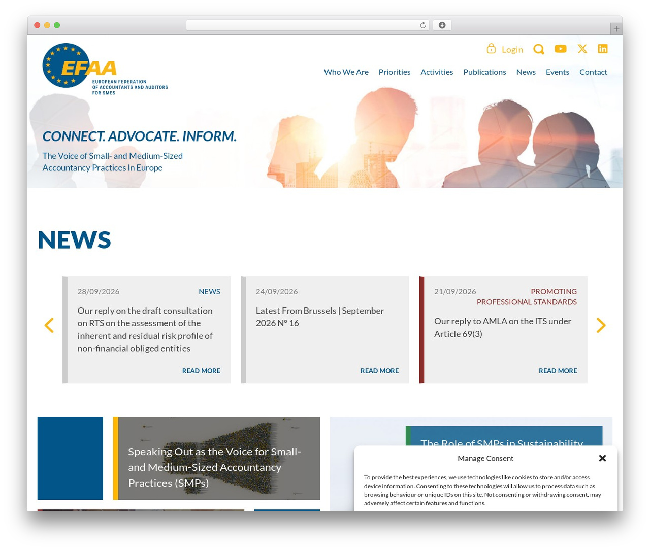 WordPress theme EFAA - efaa.com
