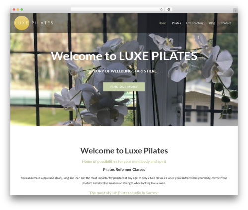 WordPress theme Astra - luxepilates.com