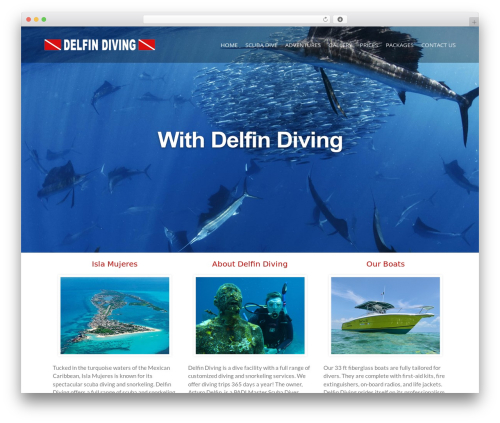 WordPress theme Blame - delfindiving.net