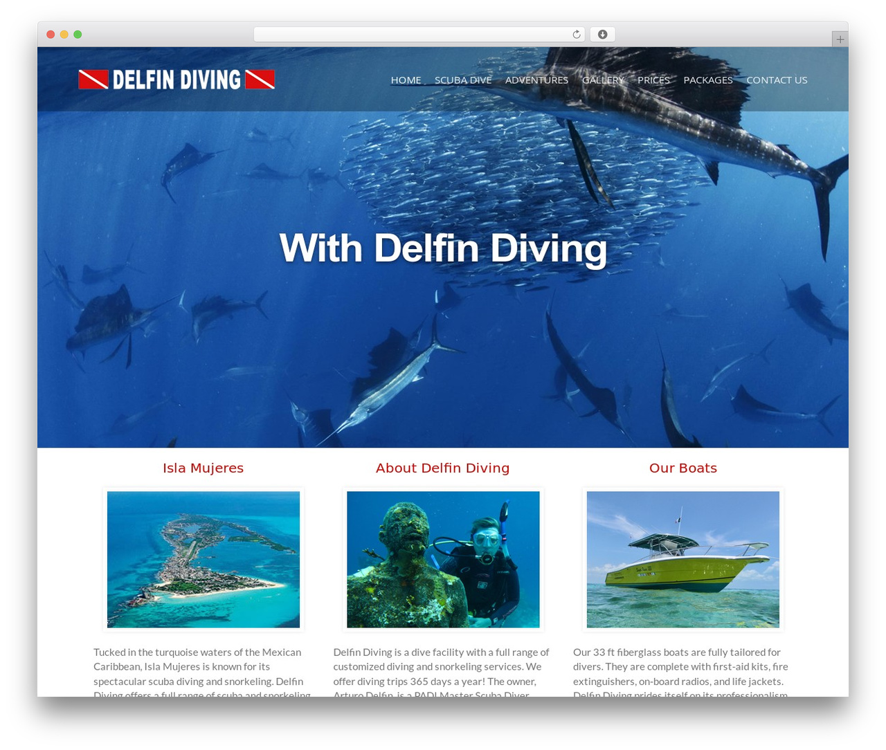 WordPress theme Blame - delfindiving.net WordPress theme Blame - delfindiving.net