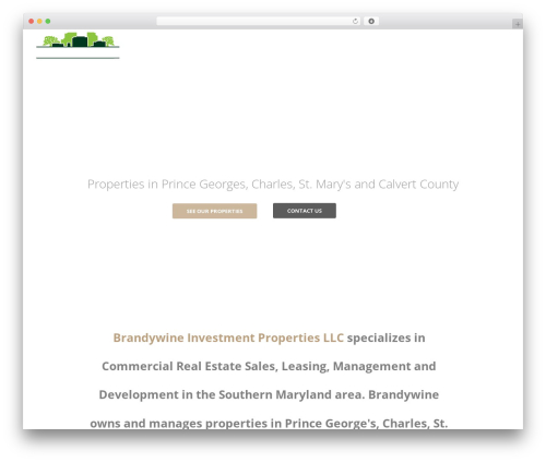 WordPress theme Create - brandywinerealestate.com