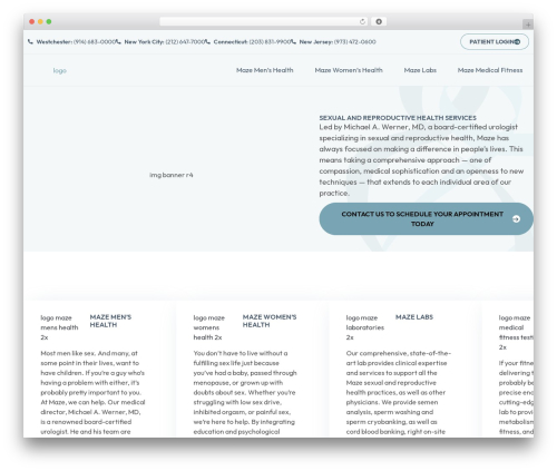 Pronto lead insights WordPress plugin - mazehealth.com