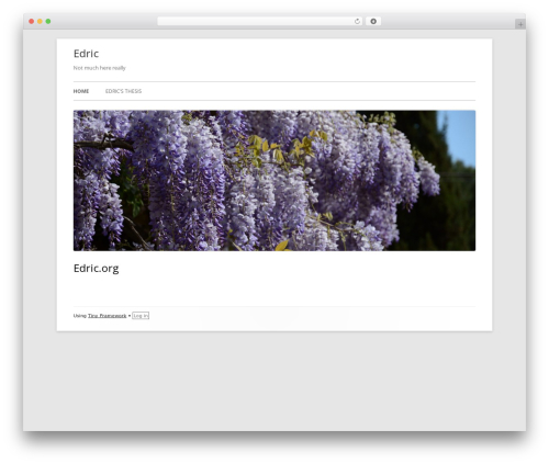 WP theme Tiny Framework - edric.org