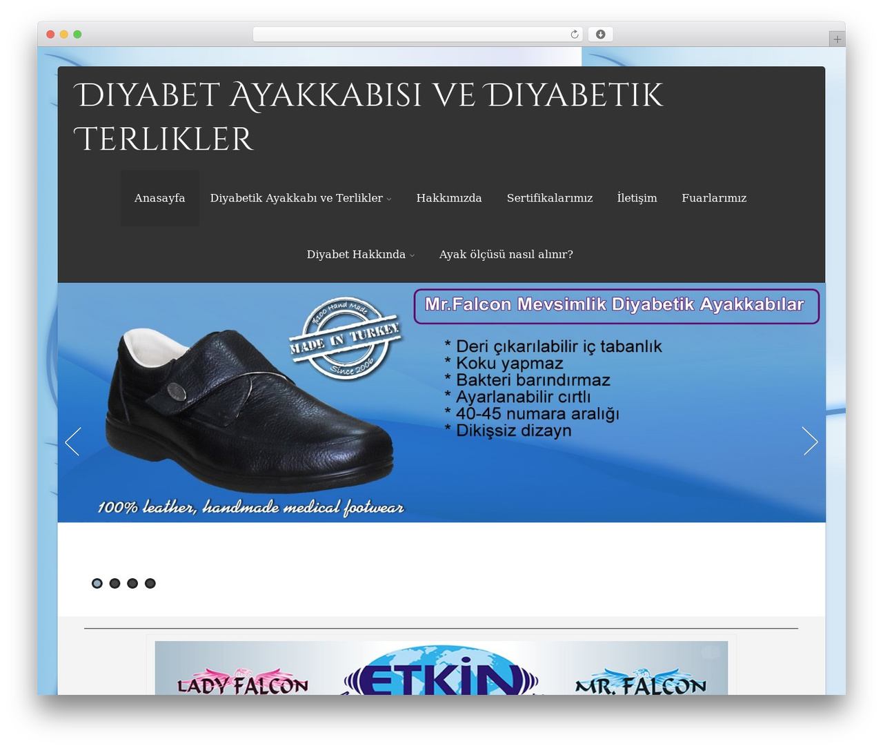 Asteria Lite WordPress theme - diyabetayakkabisi.com Asteria Lite WordPress theme - diyabetayakkabisi.com