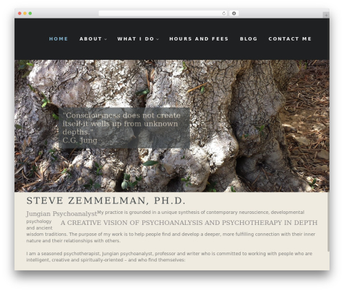 Fuse WordPress theme - drstevezemmelman.net
