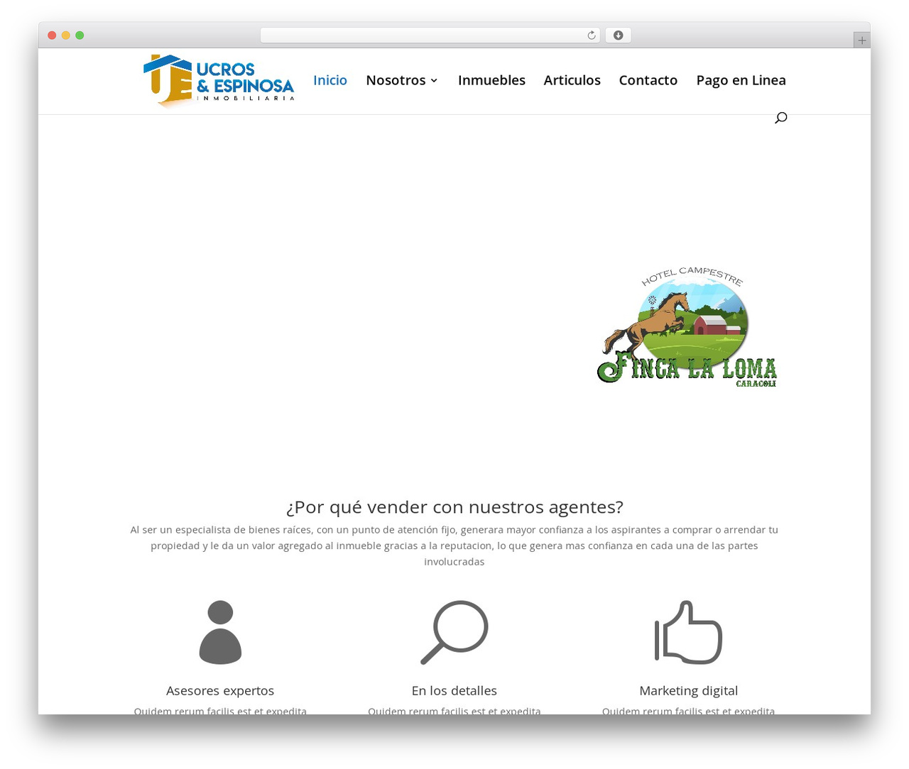 WordPress theme Divi - ucrosespinosa.com WordPress theme Divi - ucrosespinosa.com