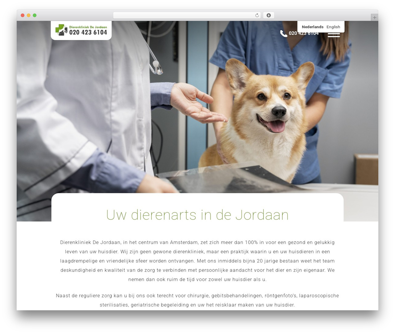 WP theme webcommitment Theme - dierenkliniekdejordaan.nl WP theme webcommitment Theme - dierenkliniekdejordaan.nl