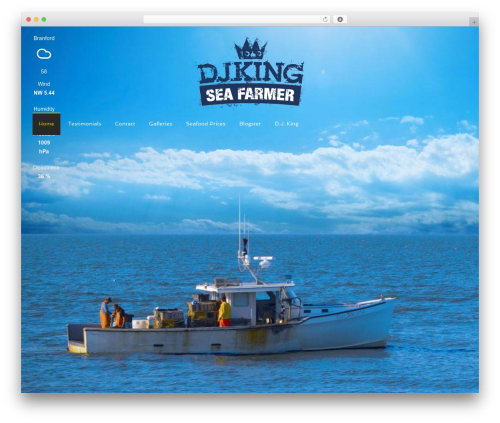 Agency Pro Theme best WordPress theme - djkinglobsters.com