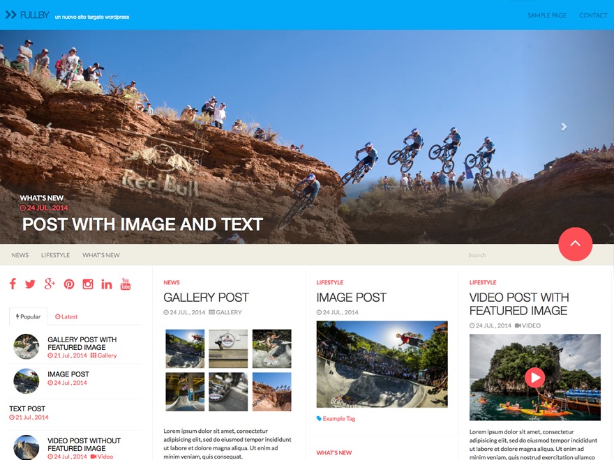 alcoholicdrinks2 theme WordPress