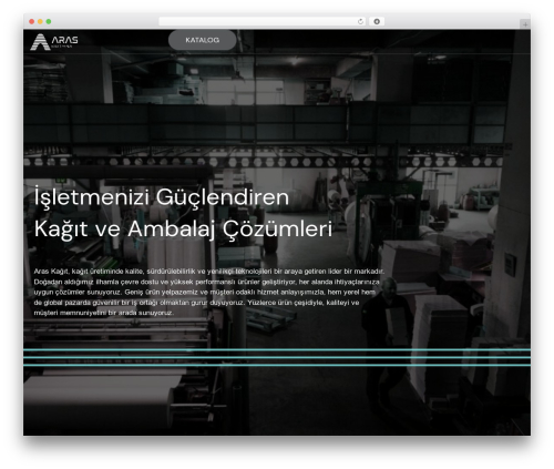 Sitepress multilingual cms2 WordPress plugin - araskagit.com.tr