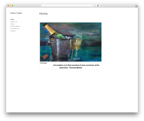 Socials Ignited (socials-ignited) free WordPress plugin - danacaple.com