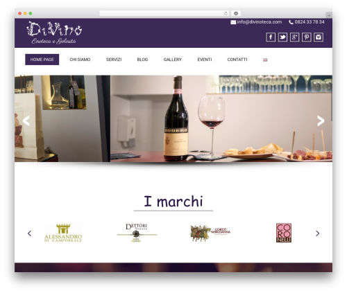 Yoast Duplicate Post (duplicate-post) free WordPress plugin - divinoteca.com/it/home-page