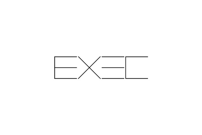 Theme WordPress Exec by codex