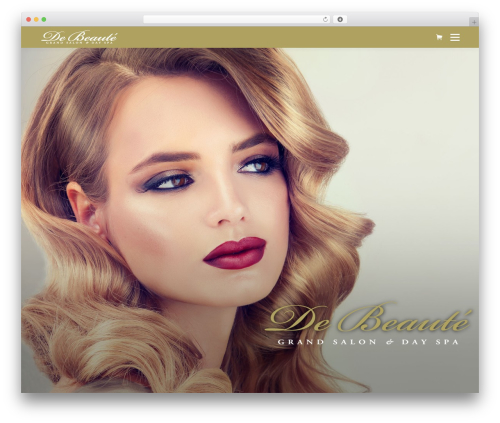 Accesspress social icons pro WordPress plugin - debeautedayspa.com