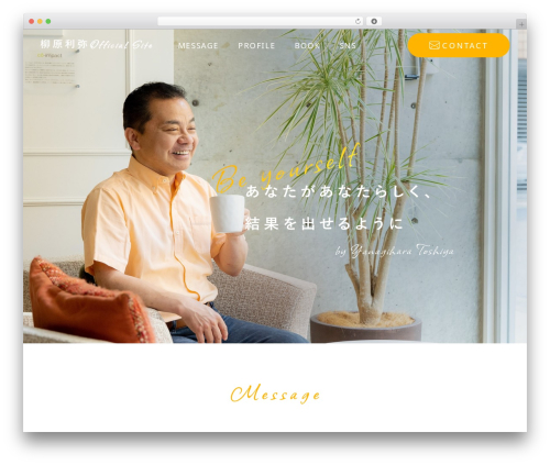 WordPress theme theme name - toshiya-yanagihara.com