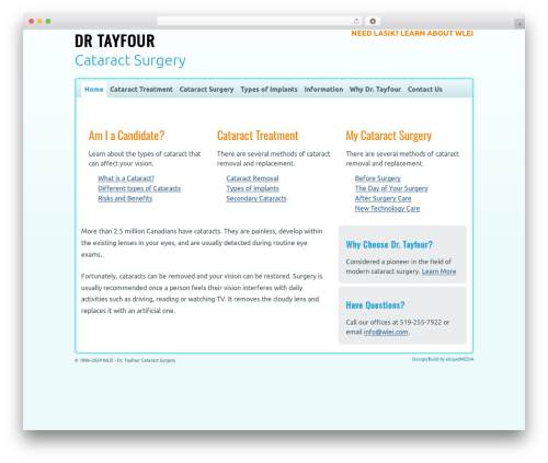 WordPress website theme Thesis - drtayfour.com